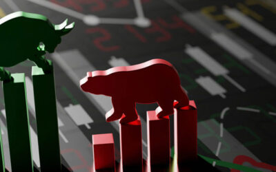 Was July Just a Dead Cat Bounce in a Bear Market or the Start of a New Bull Run?